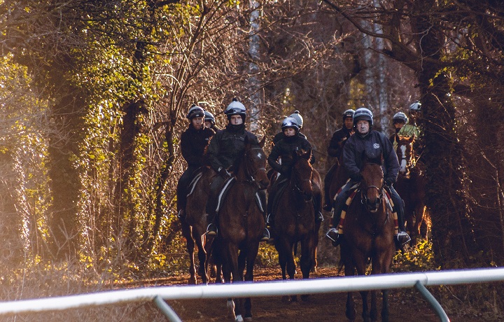 Horses being trained in Newmarket Horses being trained in Newmarket