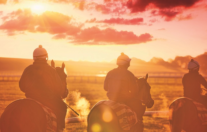Horses on the heath at sunrise. Image credit: The Jockey Club. Horses on the heath at sunrise.